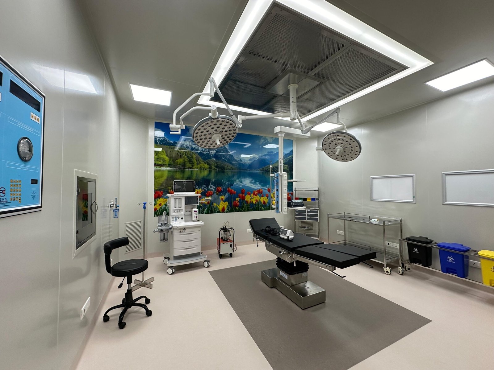 WhatsApp Image 2026-01-08 at 2.31.48 PM (2)